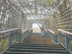 -金鸡山公园