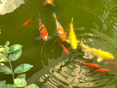 -漫笙舍Manse·咖啡·民宿