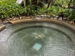 -水底山庄园温泉