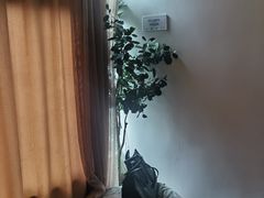 -三一行馆·日式禅意SPA足道·高空观景(解放碑店)