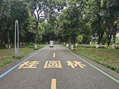 -张坝桂圆林公园