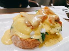 班尼迪克-JamaicaBlue(新城国际店)