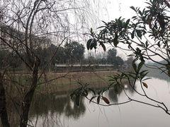 -重庆长寿碧桂园凤悦凤凰酒店