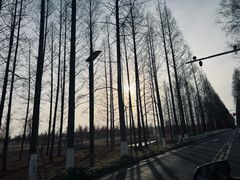 -黄海国家森林公园