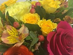 -T11生鲜超市(朝阳公园店)