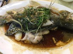 -老字号蛇口德记烧腊饭店·海鲜加工