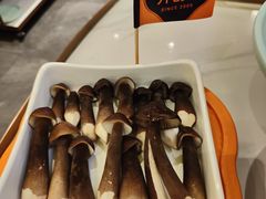 -润园四季椰子鸡火锅(南山海岸城店)