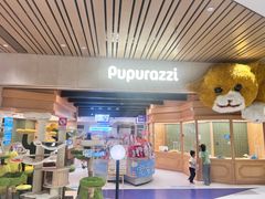 -帕帕拉兹宠物(亚洲旗舰店)