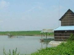 android_upload_pic-海鸥岛