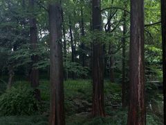 -杭州植物园