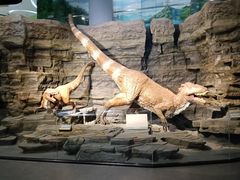 -辽宁古生物博物馆