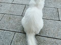 -北京石刻艺术博物馆