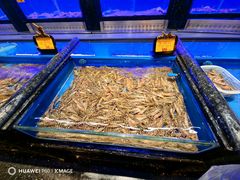 -万宝海鲜舫(劳动公园店)