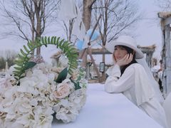 -安德鲁户外烧烤帐篷营地(马泉营店)