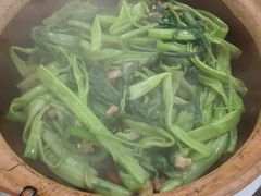 砂锅通菜-荔苑隆都菜馆(沙溪店)