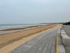 -日照海滨国家森林公园