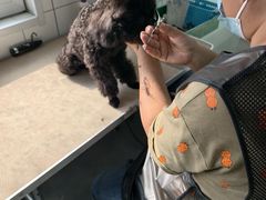 -派特宠物医院(圆融广场店)