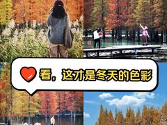 -白鹭湾湿地公园