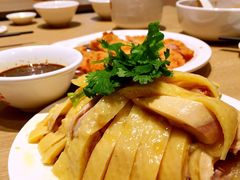 -泰煌鸡·上海白斩鸡·鸡汤面(鹤庆店)