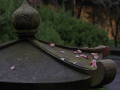 -慧因高丽寺