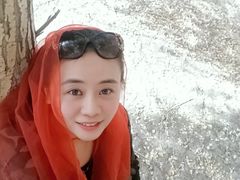 -金塔沙漠胡杨林景区
