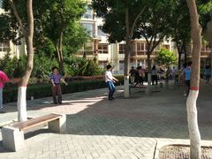 -雁滩公园