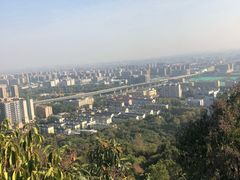 -杭州半山国家森林公园