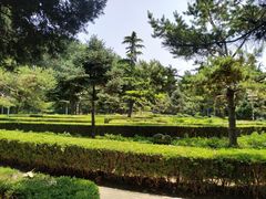 -黄村公园