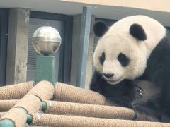 -天津市动物园