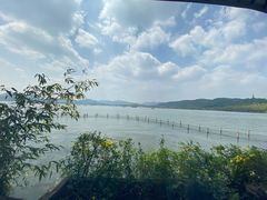 -湖畔居茶楼(湖滨店)