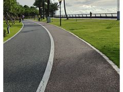 -野狸岛