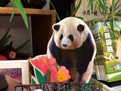 -轩客会(熊猫书店)