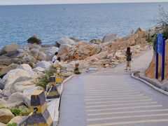 -广东惠东海龟国家级自然保护区