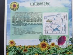 -奥林匹克森林公园北园-停车场