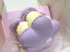半熟花花马卡龙柚子樱花味-好利来(内双楠店)