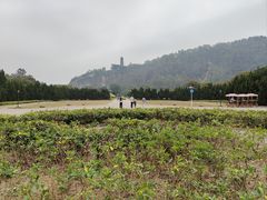 -南沙蒲洲花园
