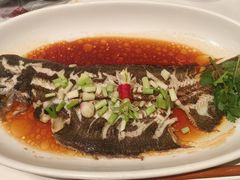 清蒸龙利鱼-唐苑酒家·岭南粤菜名店(太古仓店)