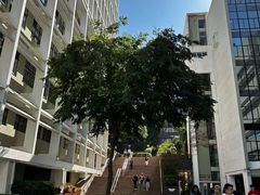 -香港大学