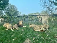 -北京野生动物园