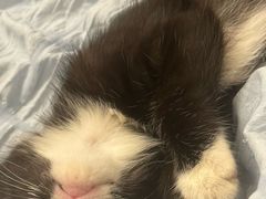 -五缘湾凯悦酒店·悦饗中餐厅