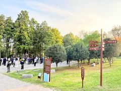 -洪泽湖古堰景区