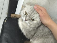 -哈尔滨北方森林动物园