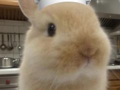 -广西师范大学(育才校区)