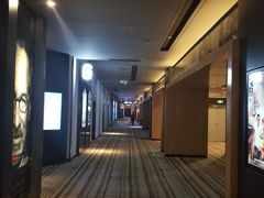 -博纳国际影城IMAX(中央大道店)