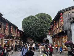 -三坊七巷历史文化街区