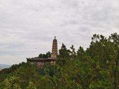 -白塔山公园
