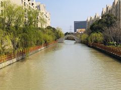 -高东镇樱花园