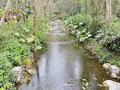 -桂林古东瀑布景区