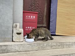 -万松老人塔