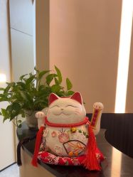 -Fundi张玉珊修身堂·indiba·BTL科技瘦身